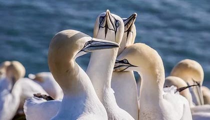 开云体育最新地址-粉丝创意：打造属于自己的赛车装饰，赛车装饰简笔画