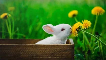 kaiyun登录入口-电竞行业的知识产权保护，打击盗版持续升级，电竞侵权